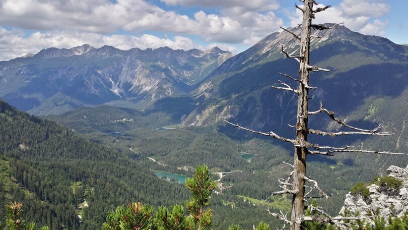 Um den Grünstein