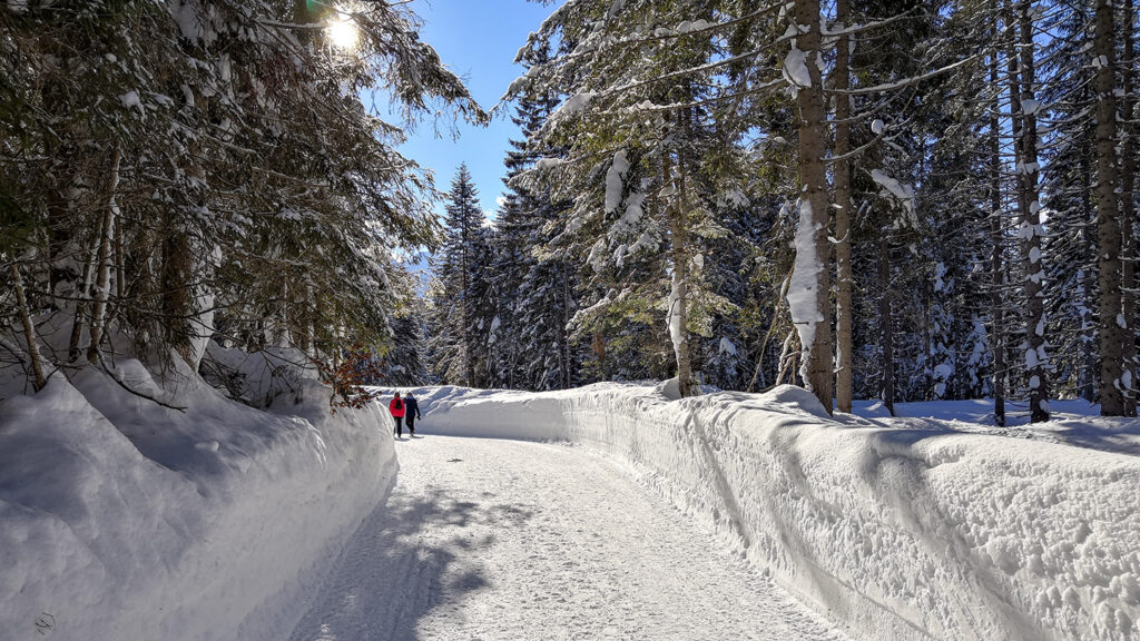 Winterlandschaft in Wildmoos